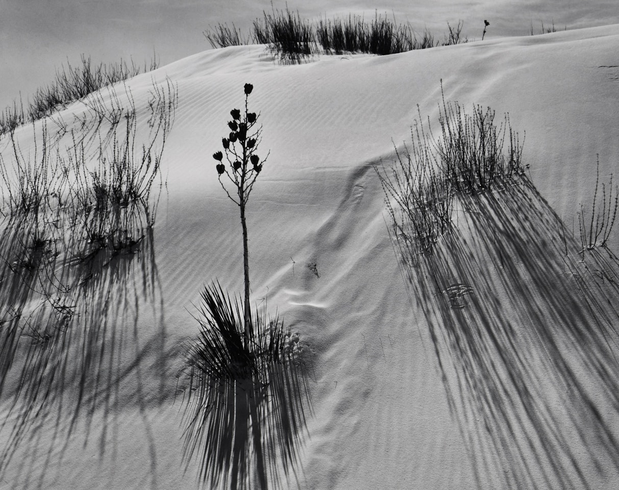 ‘Dune, White Sands National Monument, New Mexico" by Ansel Adams