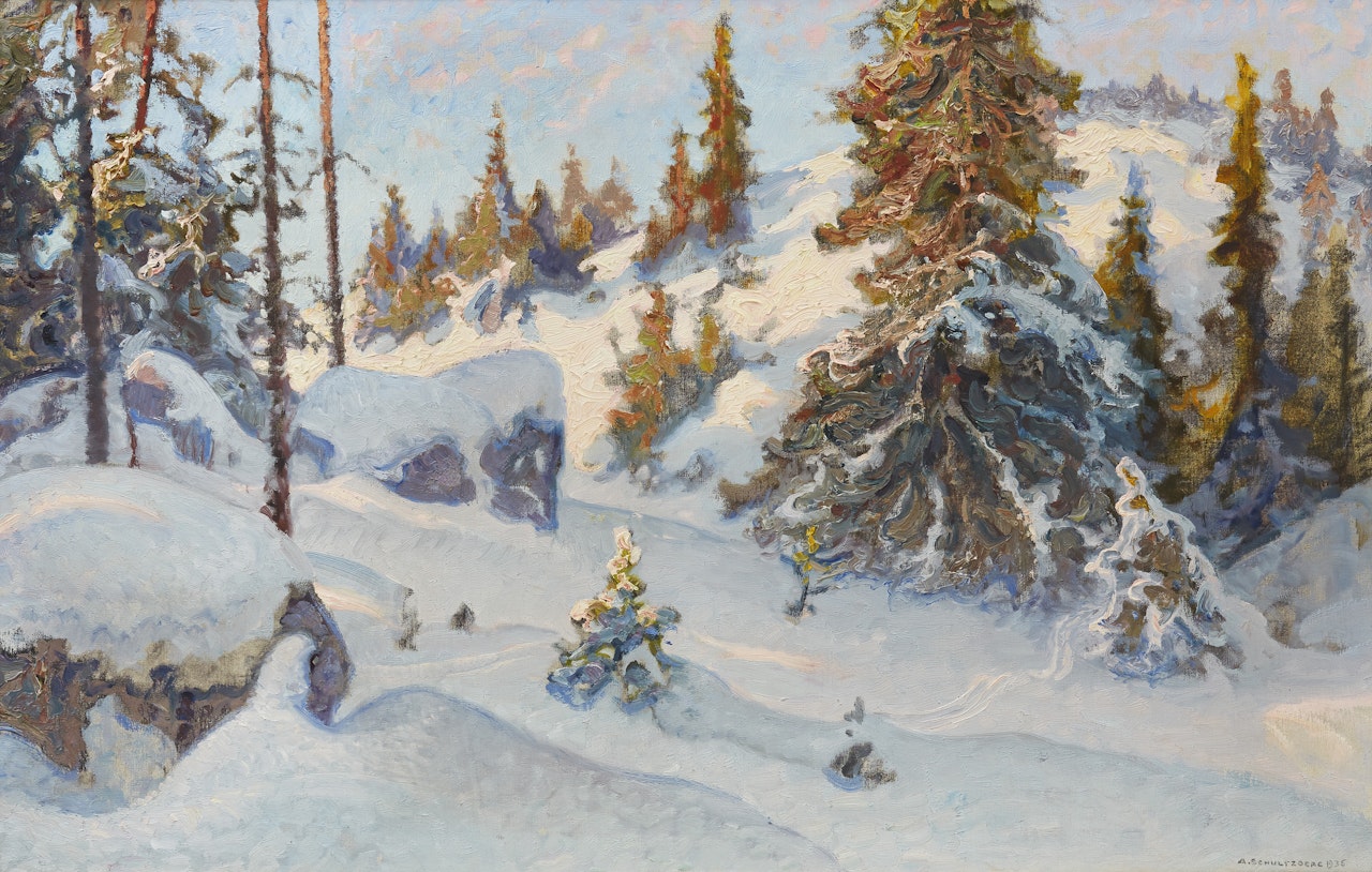 "Wildland in Filipstad"s mountain range" by Anshelm Schultzberg