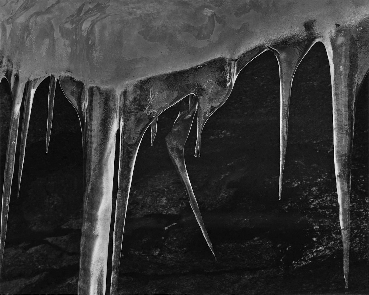 ‘Icicles, California" by Ansel Adams