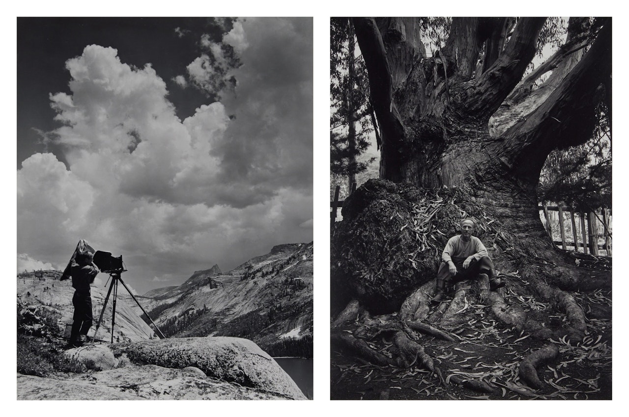 Selected Images of Edward Weston (2 Photographs) by Ansel Adams