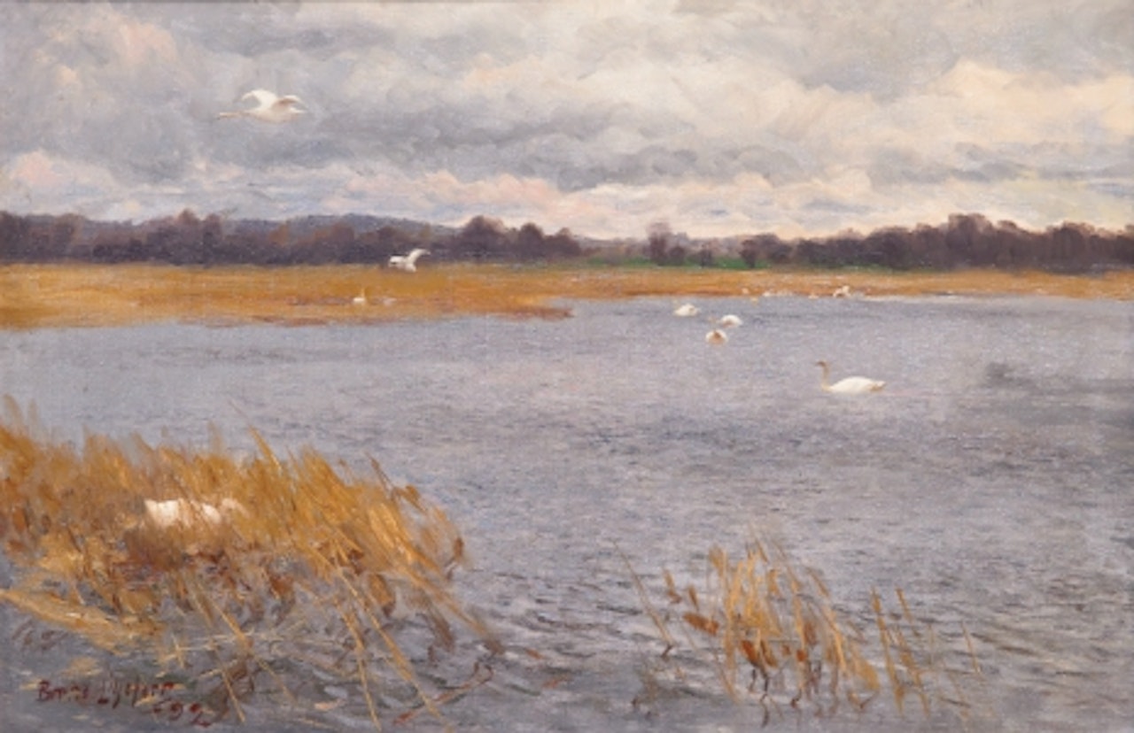 Swans by watercourses by Bruno Liljefors
