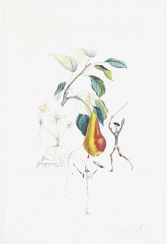 ”Poir don Quichotte” from ”Flordali” by Salvador Dali