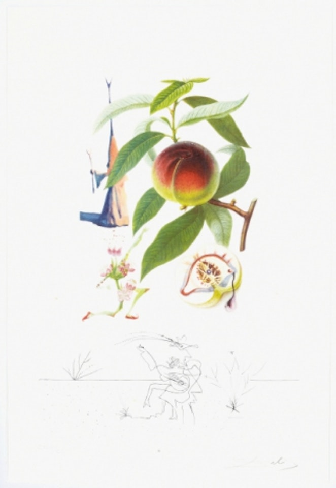 ”Pêcher pénitent” from ”Flordali” by Salvador Dali