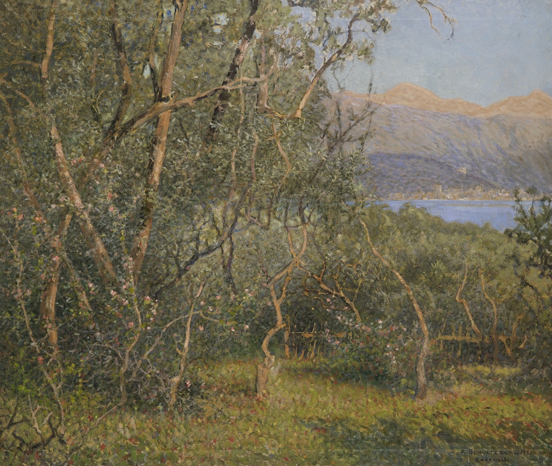 Garden by the coast, Cadenabbia by Anshelm Schultzberg