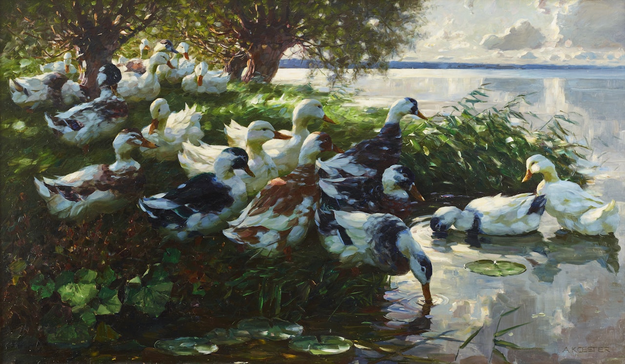 Ducks resting by the lake by Alexander Koester