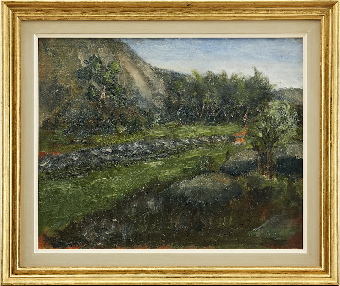 Mountainside landscape by Ivan Ivarson