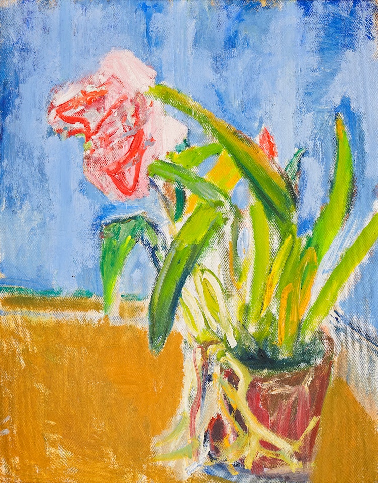 Pink flowers in pot by Ivan Ivarson