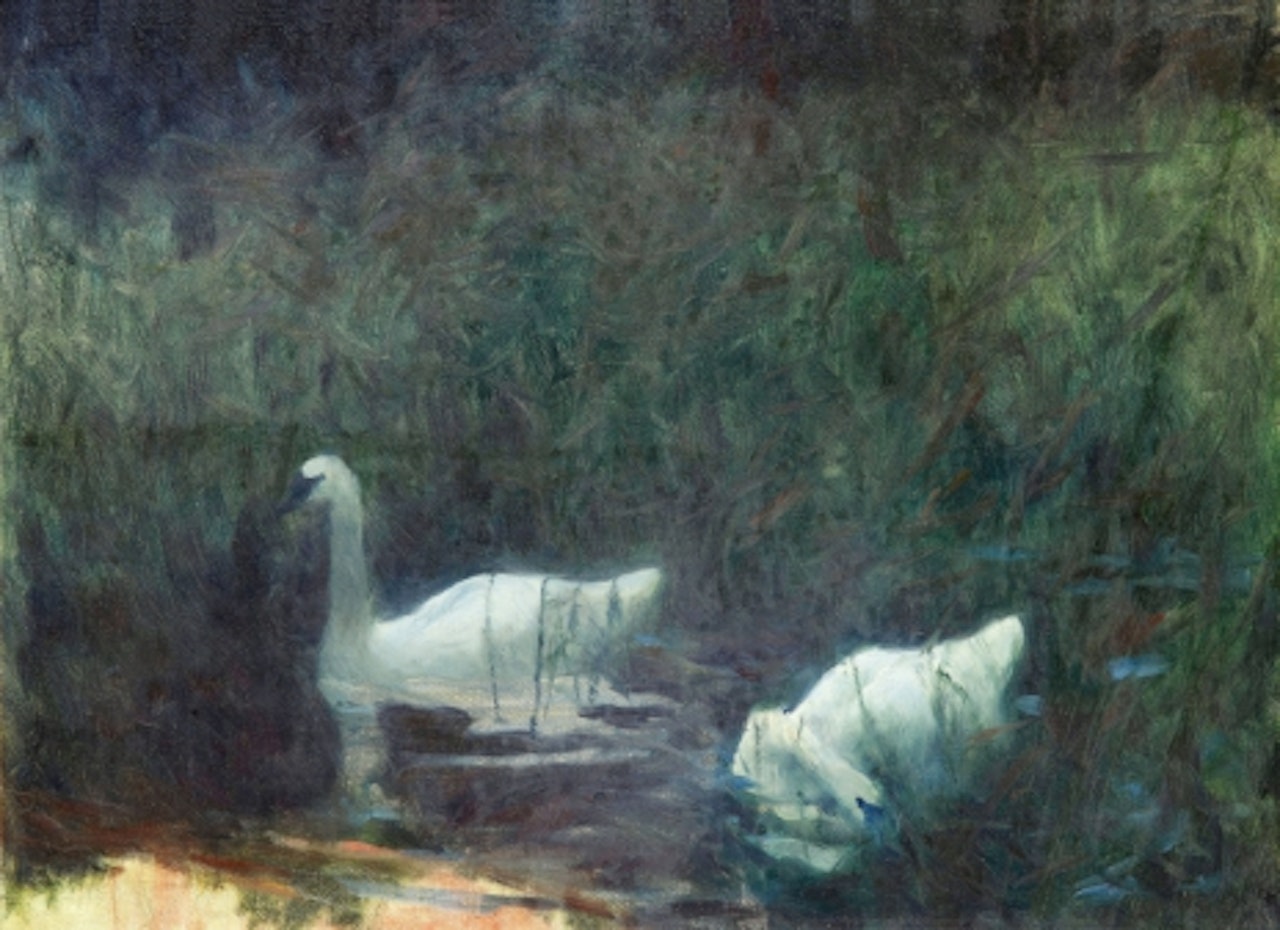 "Swans" by Bruno Liljefors
