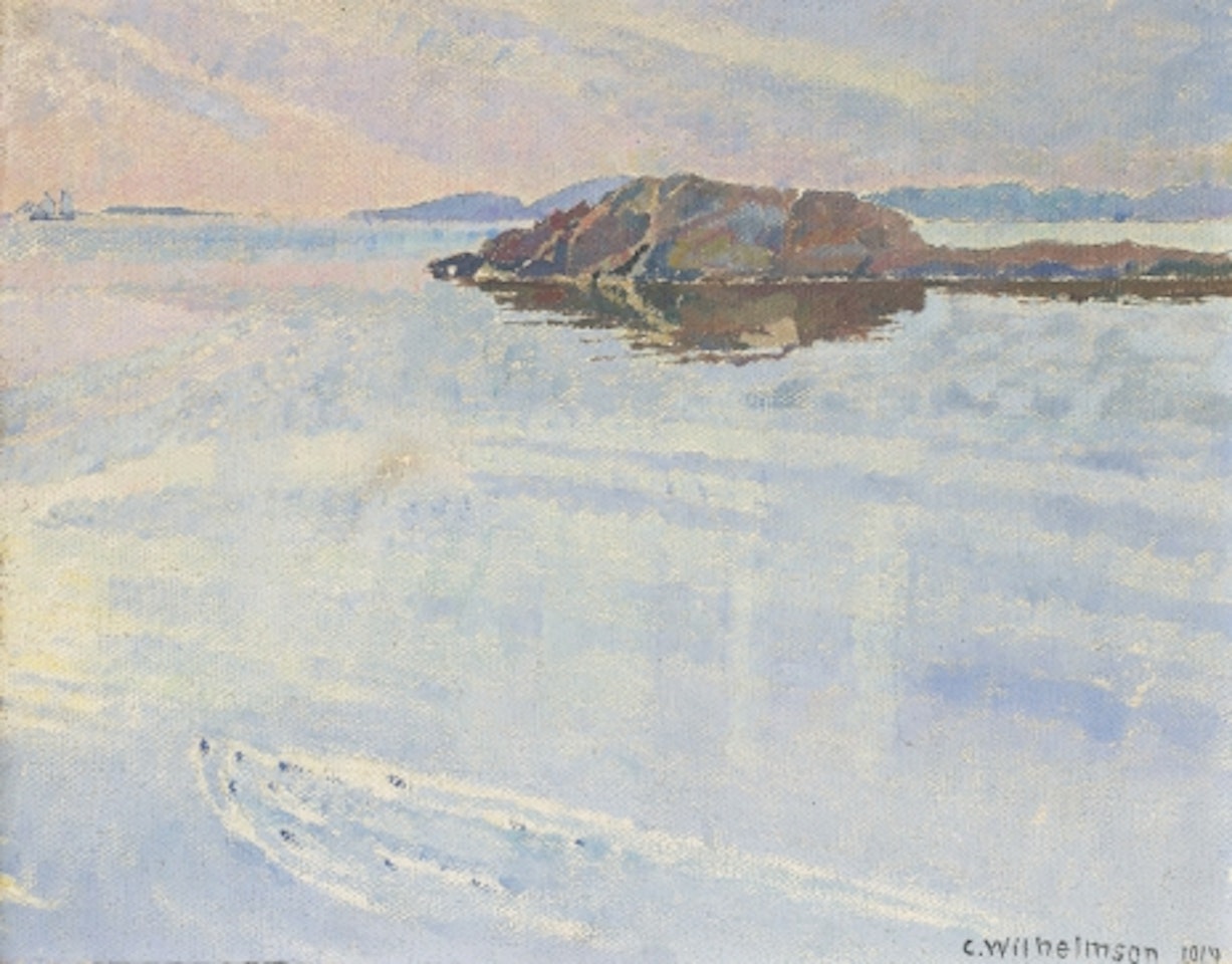 "Eider streak" by Carl Wilhelmson