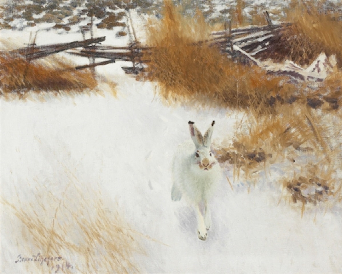 Hare in winter landscape by Bruno Liljefors