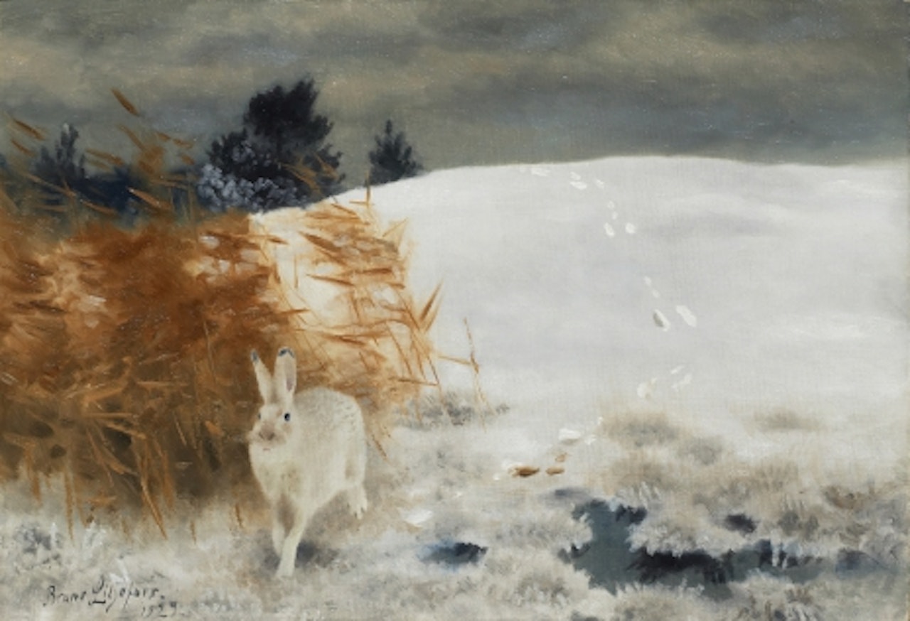 Hare in winter landscape by Bruno Liljefors