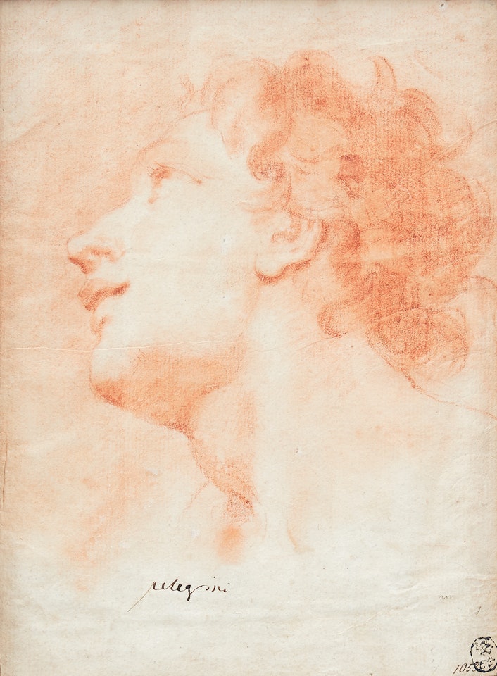 Head of a boy. by Giovanni Antonio Pellegrini