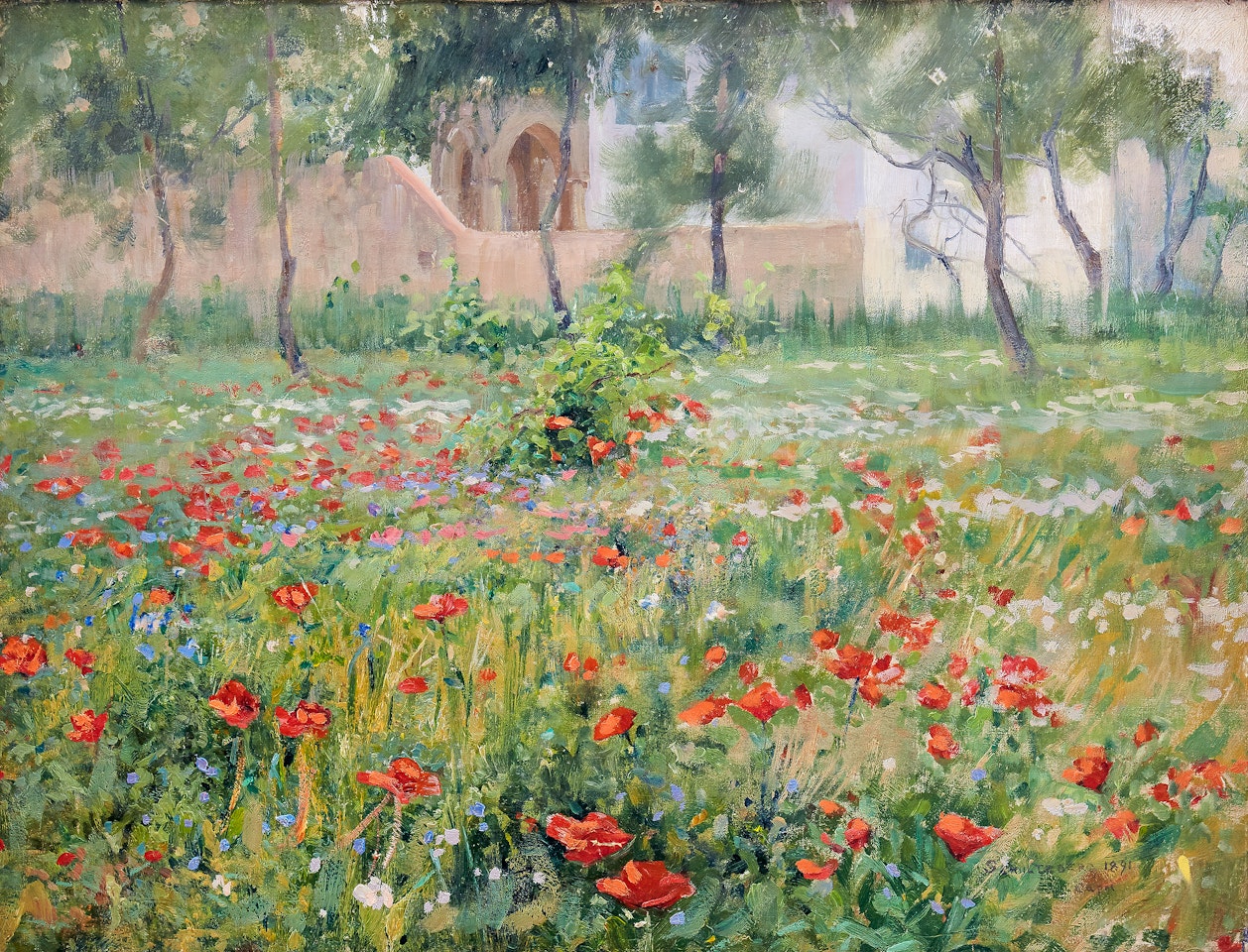 Blooming poppies - motif from Capri by Anshelm Schultzberg