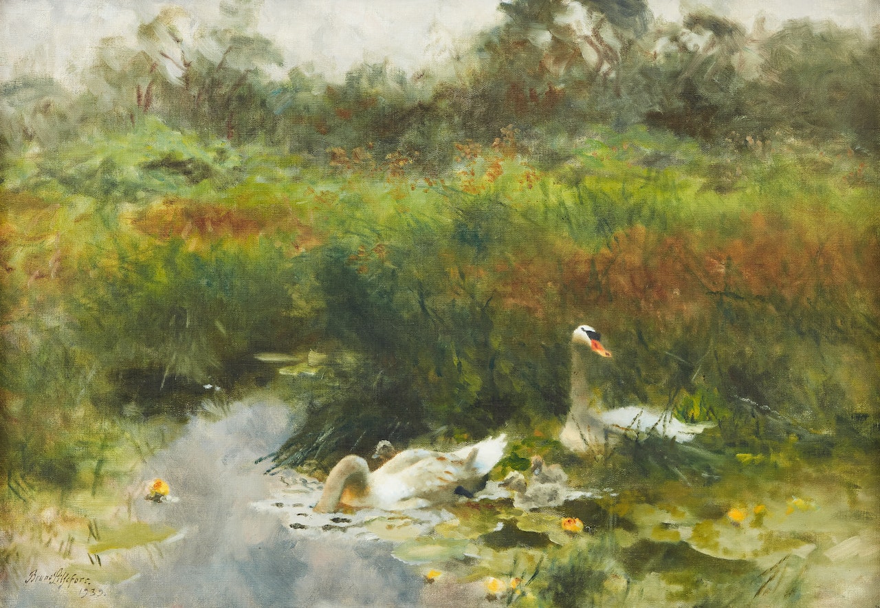 Swans among reeds and water lilies by Bruno Liljefors