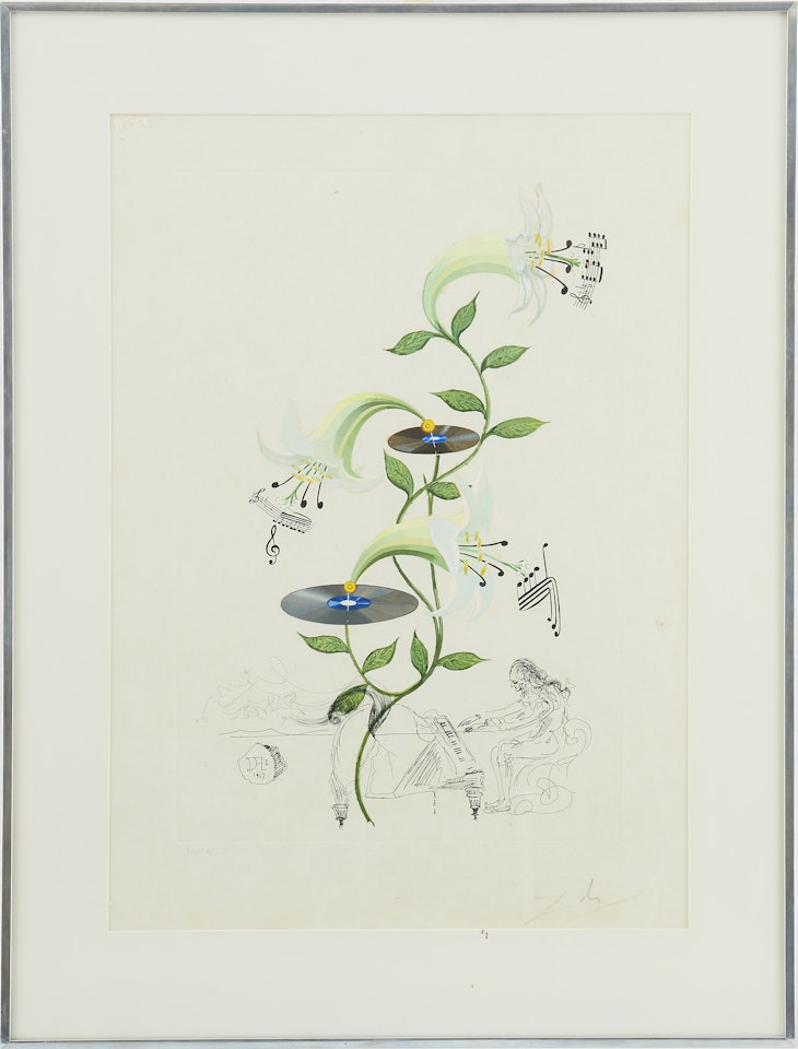 "Flordali": "Lily (Lilium musicum)" by Salvador Dali