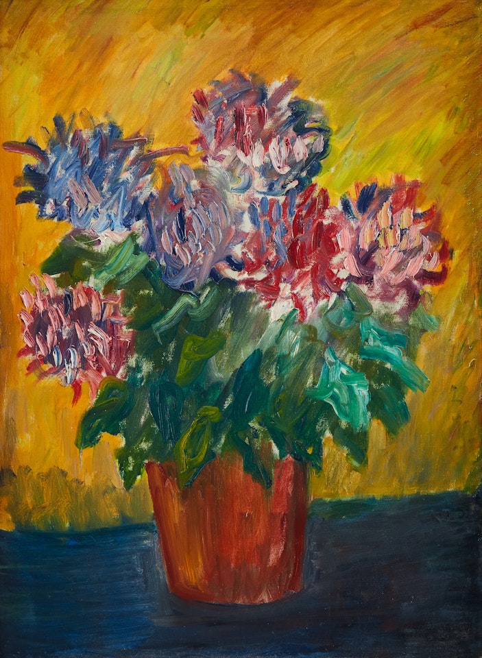 Chrysanthemum in pot by Ivan Ivarson