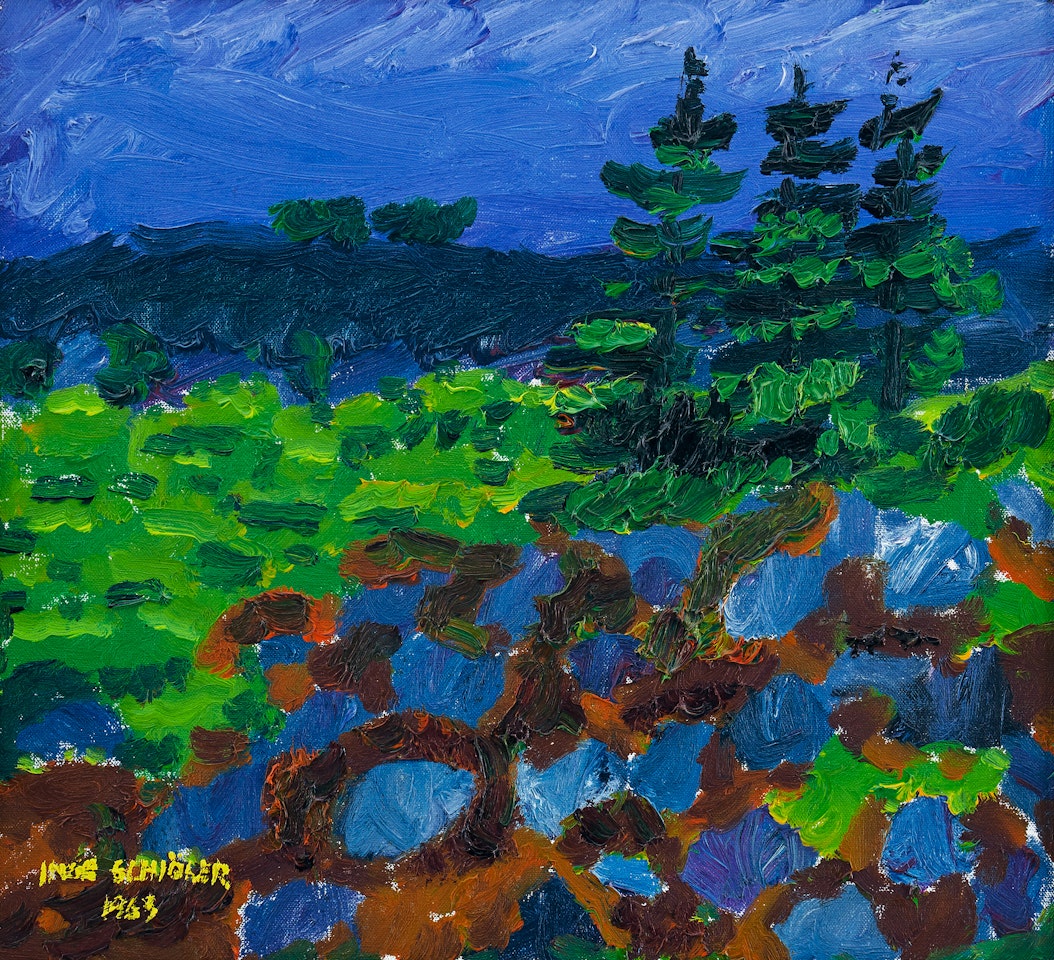 Spruce trees in green landscape by Inge Schiöler