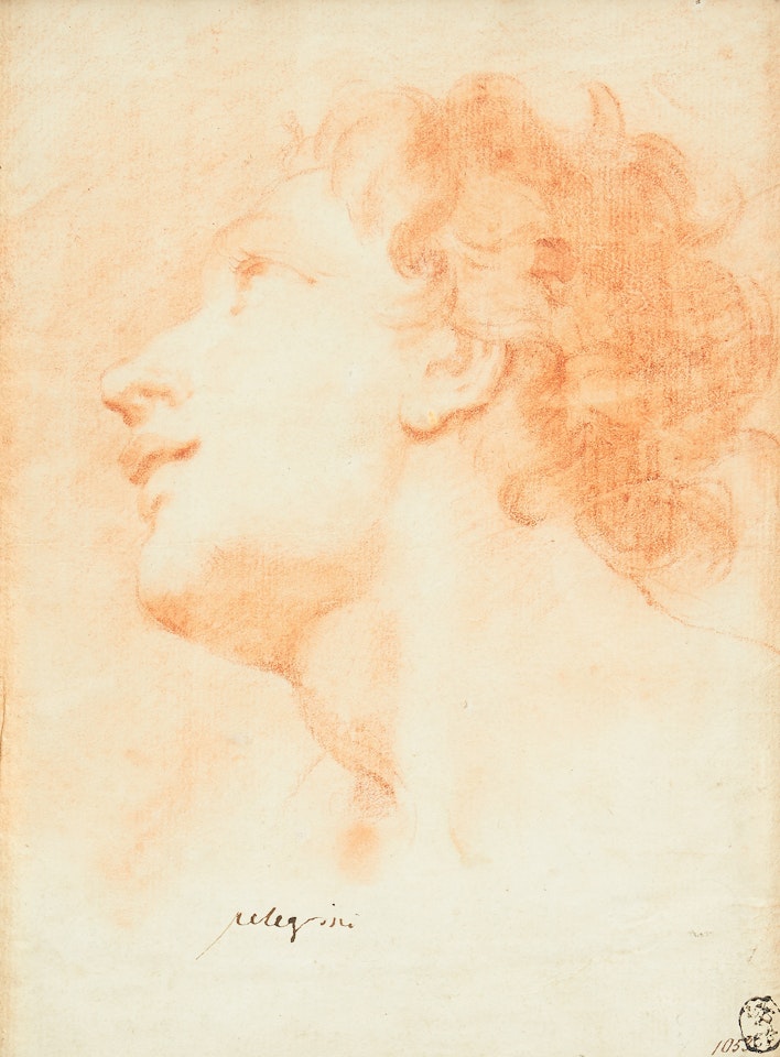 Head of a boy. by Giovanni Antonio Pellegrini