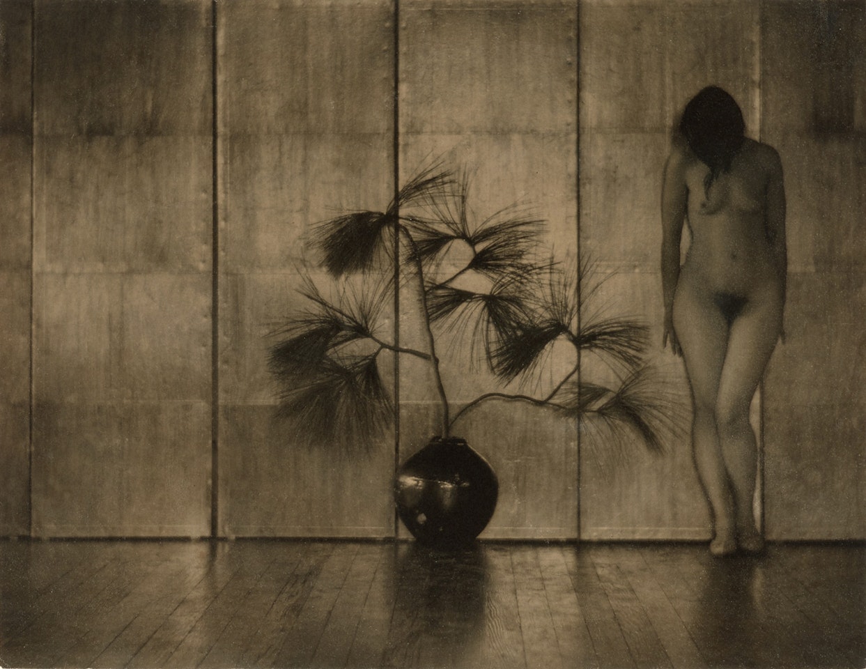 Nude and Pine Branch by Edward Weston