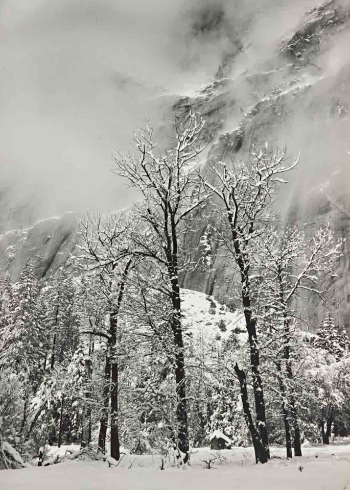 "Trees and Cliffs, Eagle Peak, Winter, Yosemite Valley, CA" (vertical) by Ansel Adams
