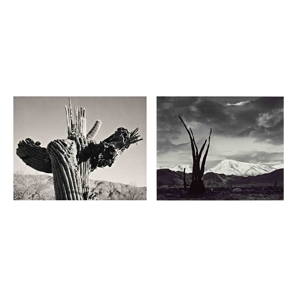 Portfolio VII by Ansel Adams