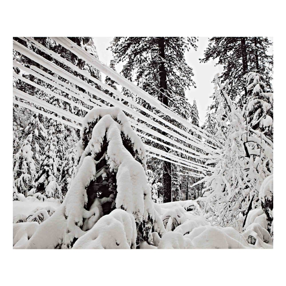 "Telephone Wires, Snow Yosemite" by Ansel Adams