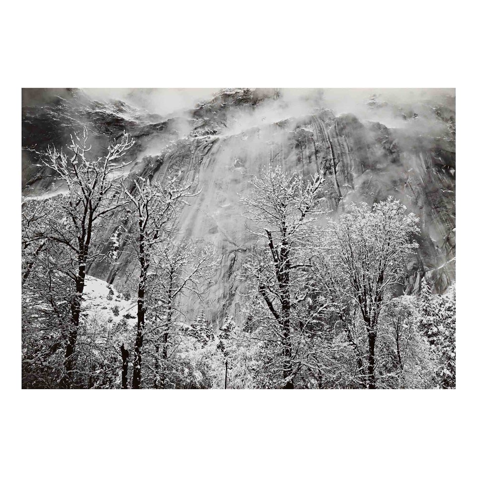 "Trees And Cliffs of Eagle Peak, Winter" (horizontal) by Ansel Adams