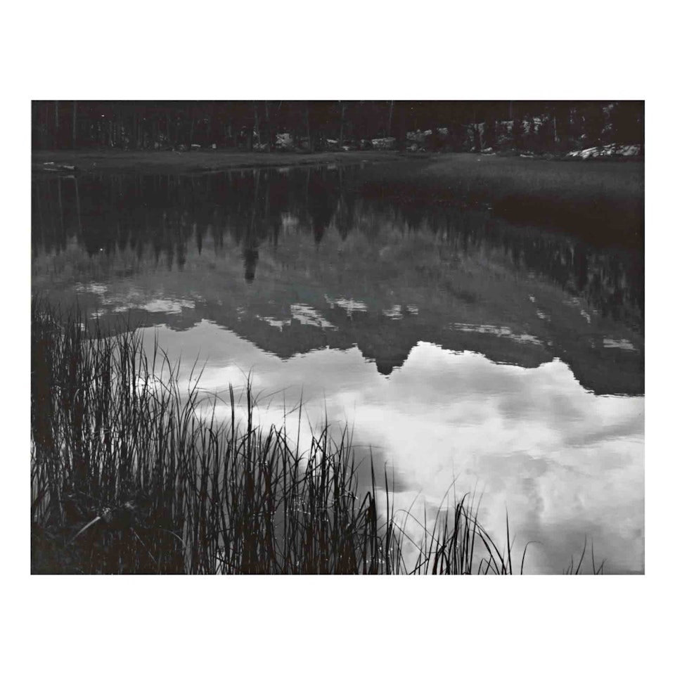 Reflections, Lyell Fork of the Merced River by Ansel Adams