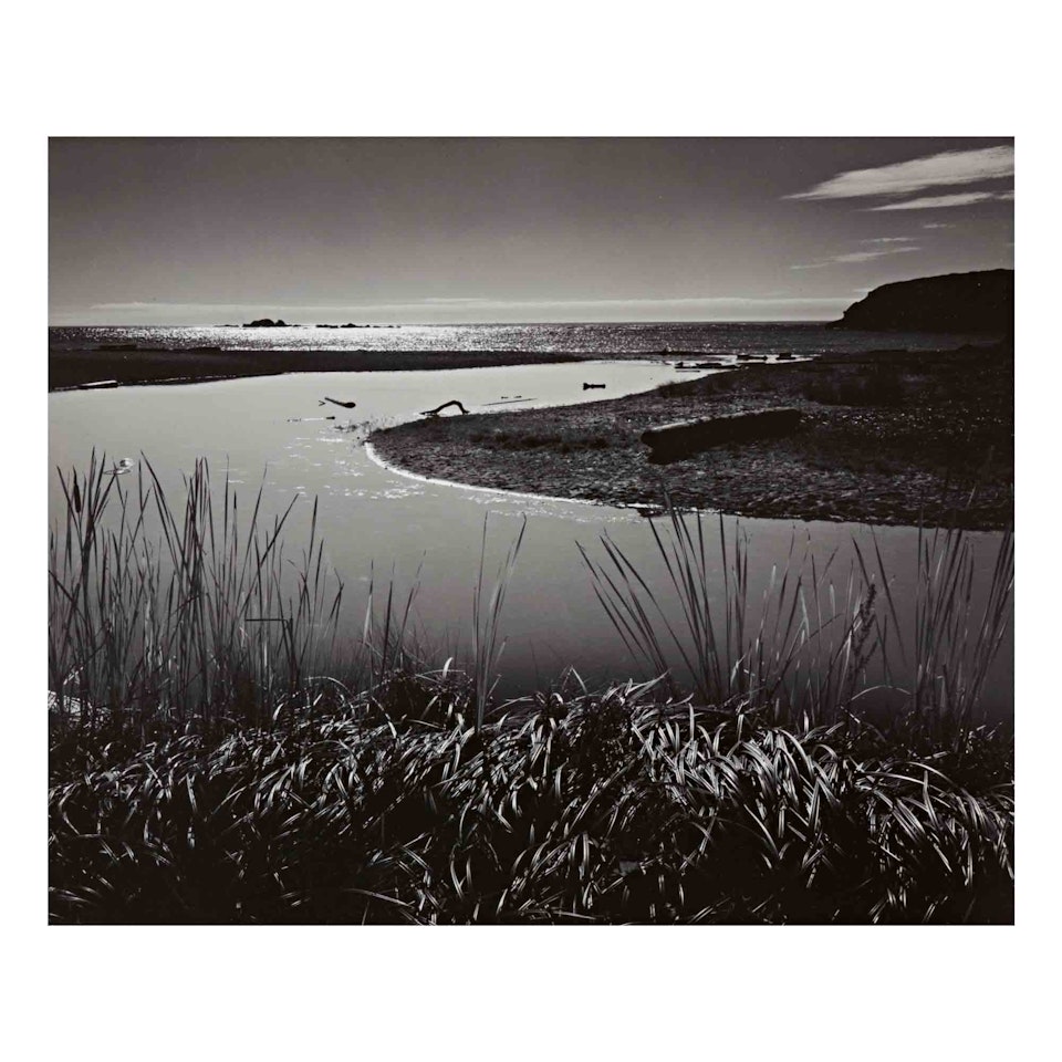 "Near Elk, Northern California Coast" by Ansel Adams