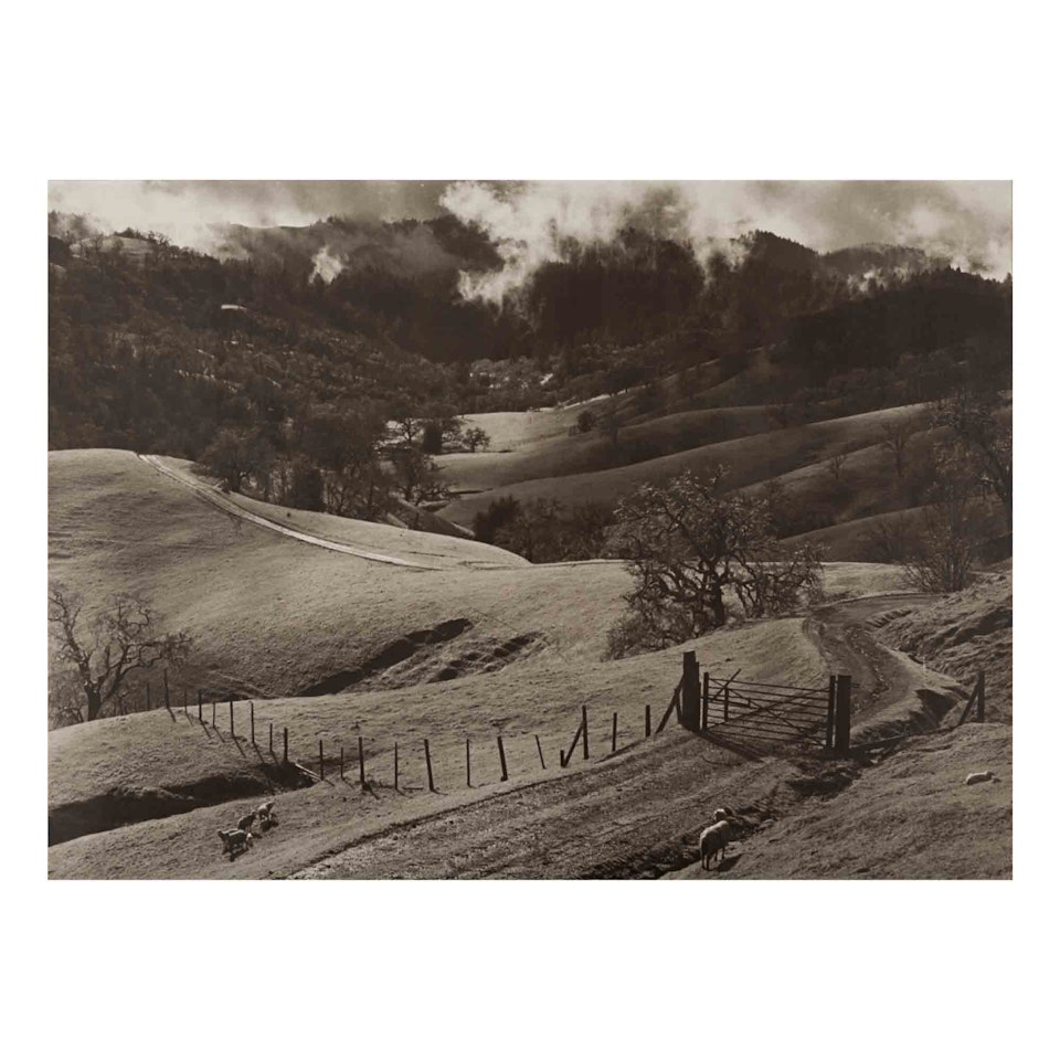 Rolling Hills, Mendocino County by Ansel Adams