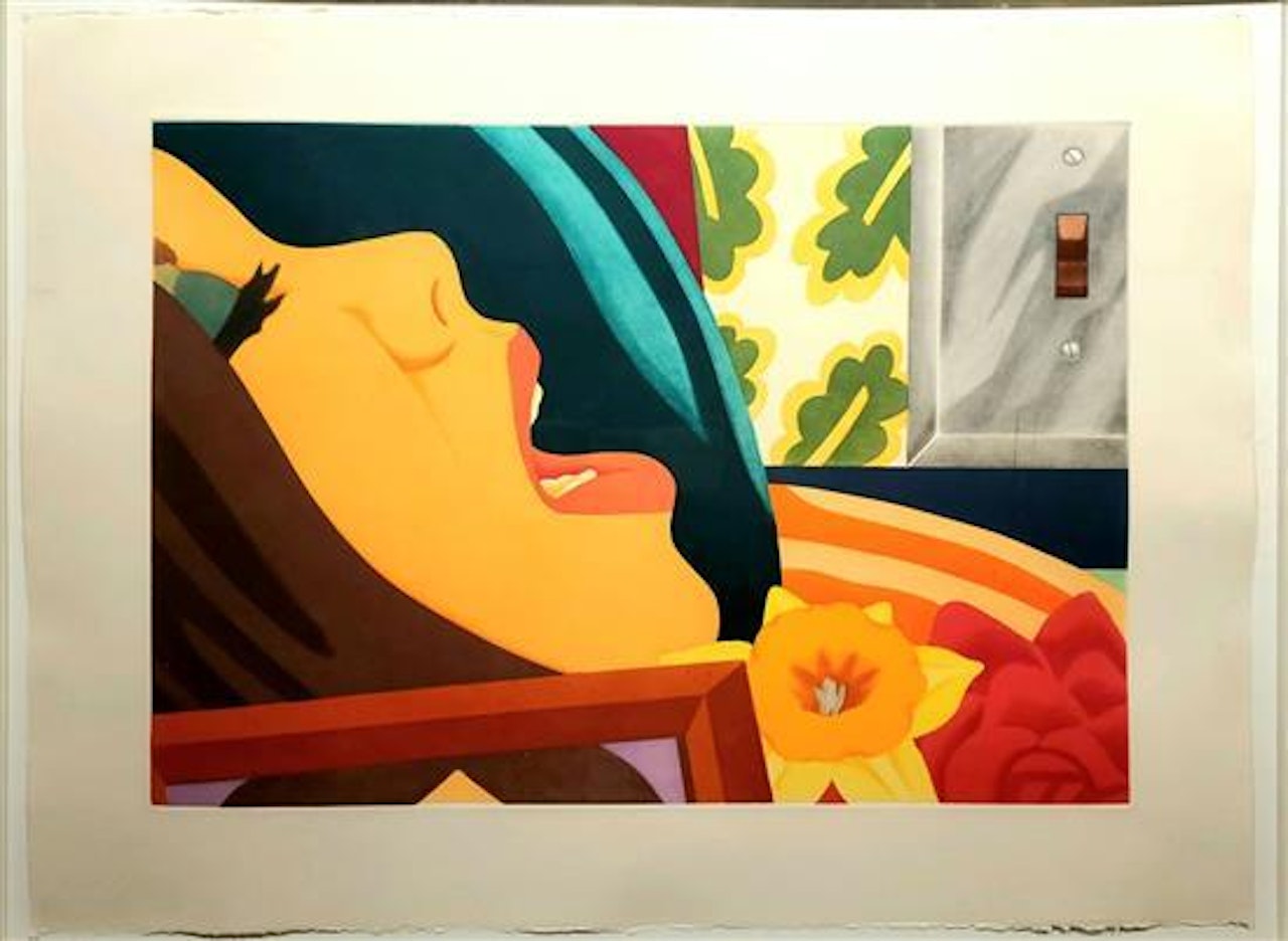 Bedroom face by Tom Wesselmann