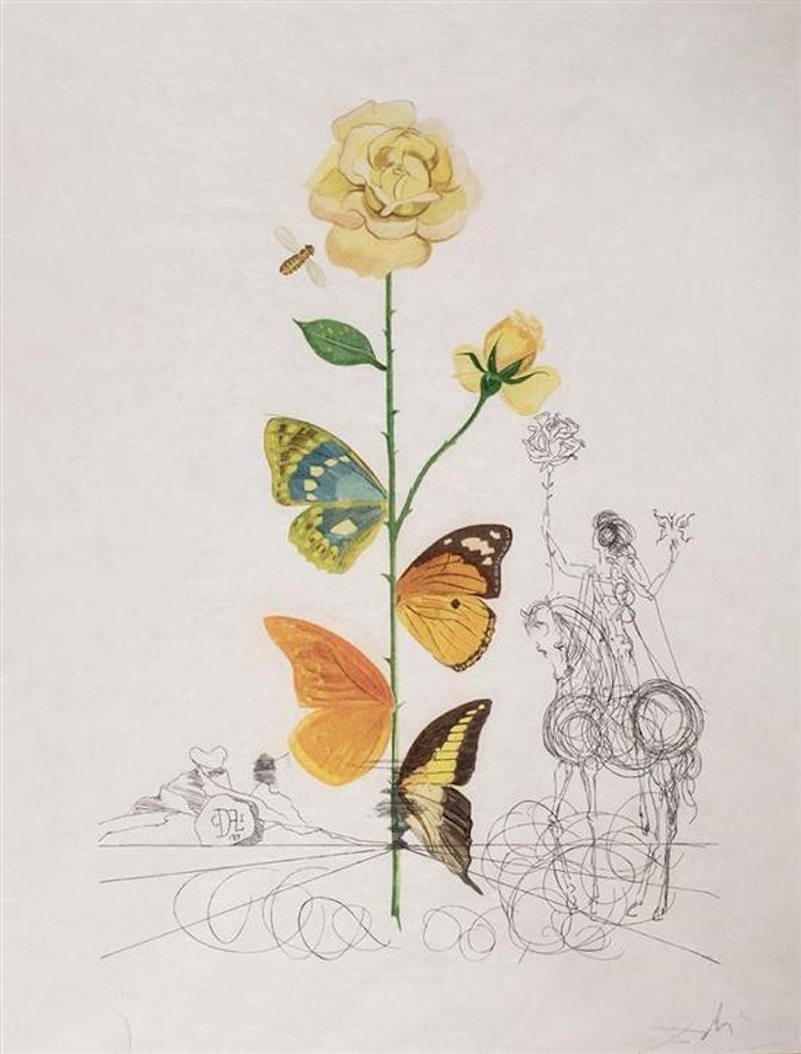 Flordali, Rose (Rose papillo) (from Flora Dalinae) by Salvador Dali