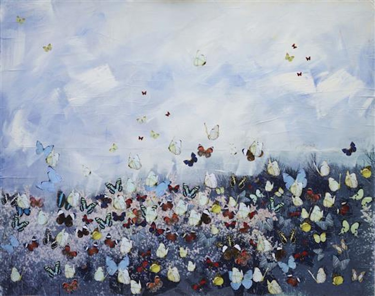 Papillons by Philippe Pasqua