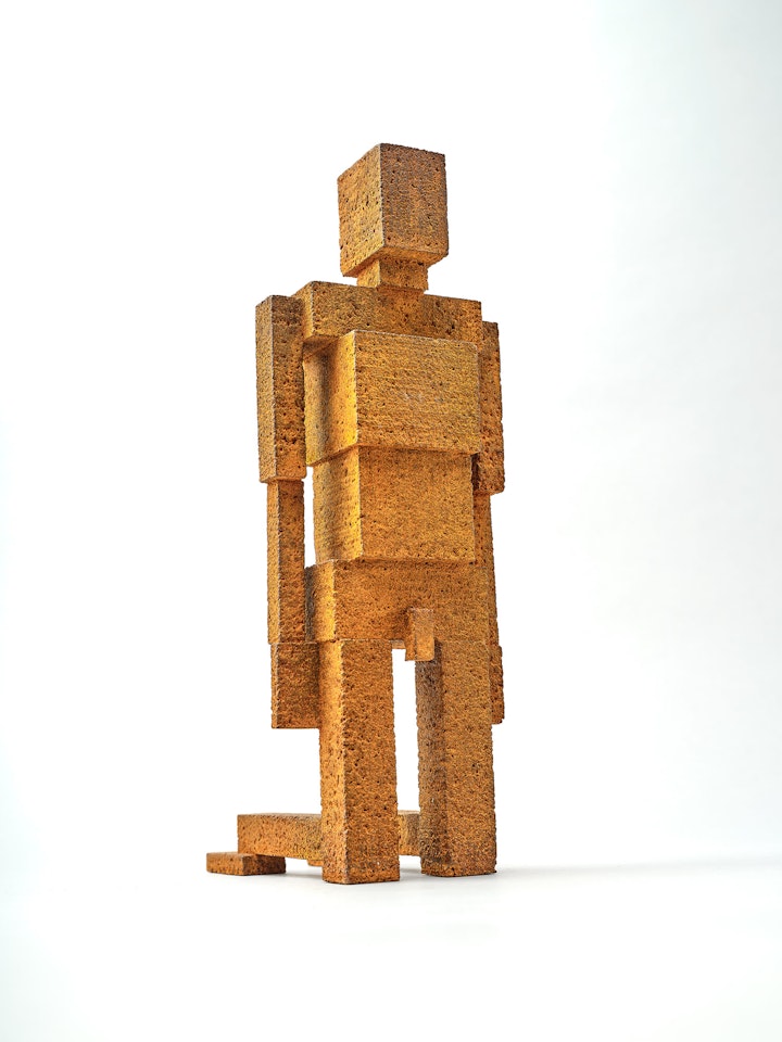 SUBJECT 1 (MEME) II by Antony Gormley