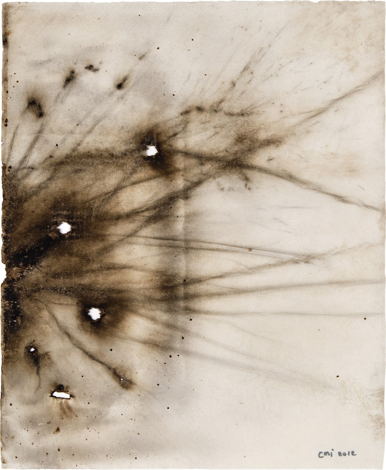 Rice Hulls by Cai Guo-Qiang