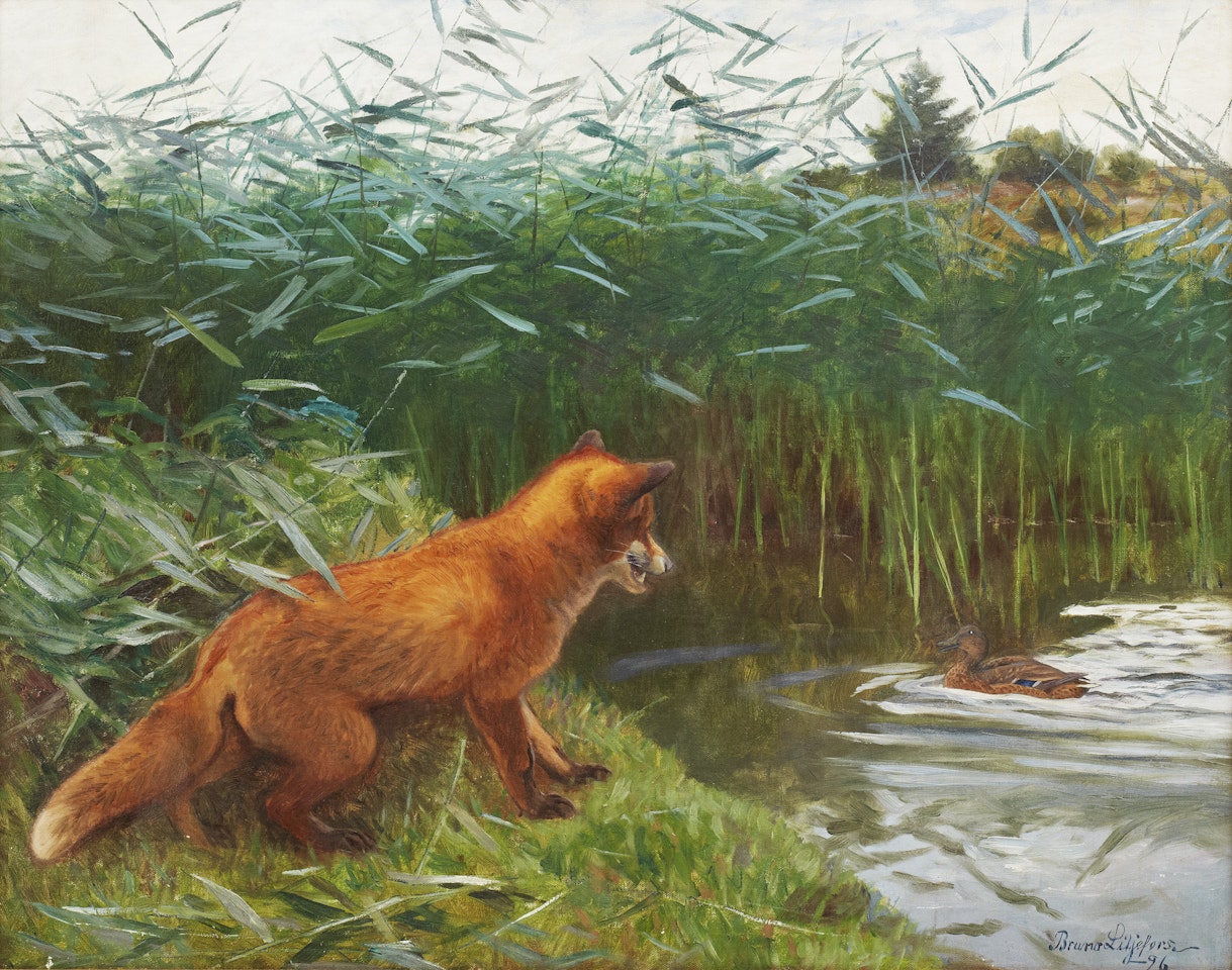 Sneaky fox by Bruno Liljefors