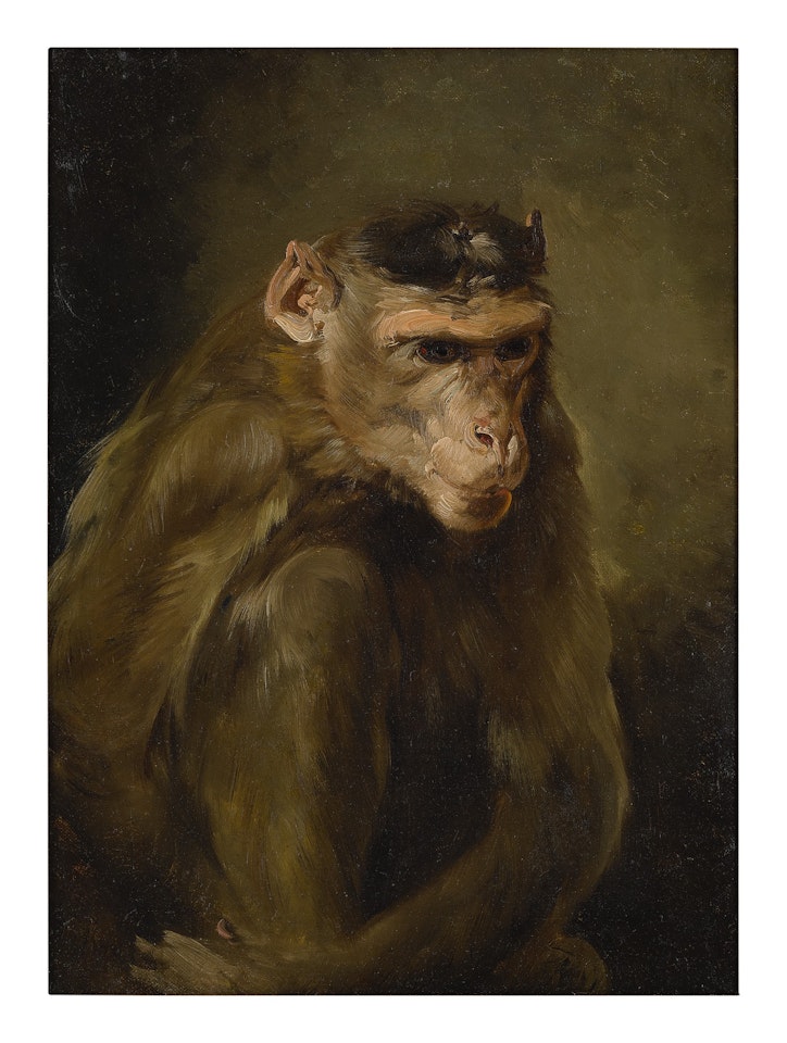 PORTRAIT OF A MONKEY by Dutch School