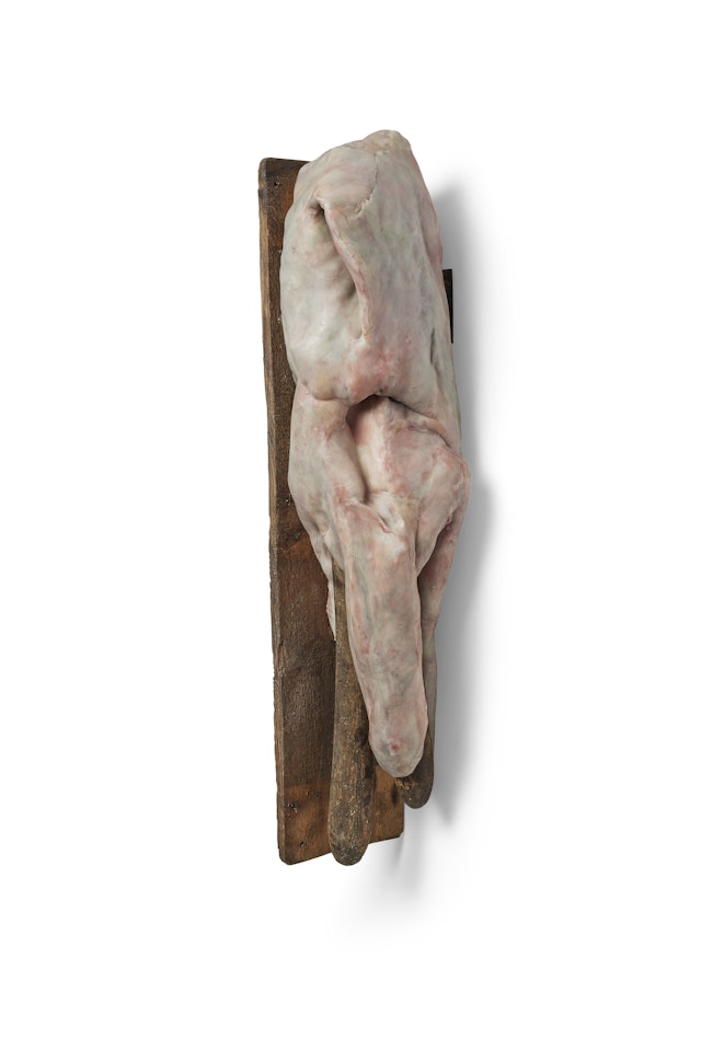 Sans titre by Berlinde de Bruyckere