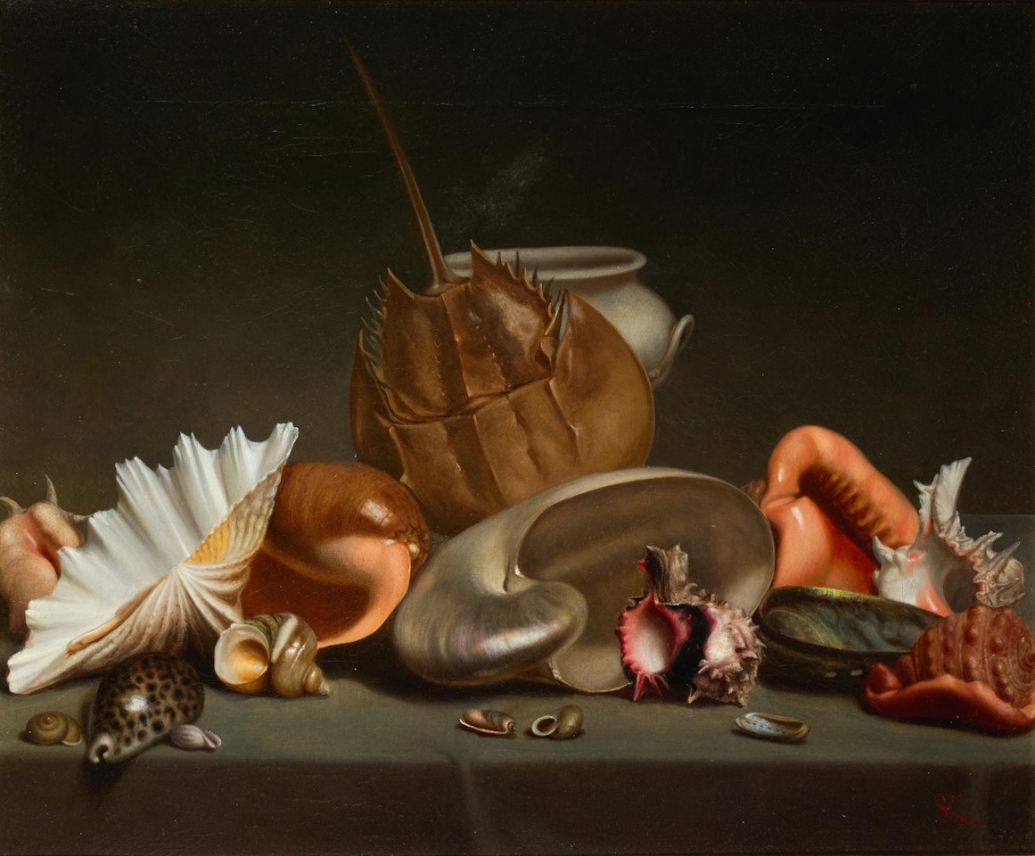 A STILL LIFE WITH SEA SHELLS AND MOLLUSCS by French School