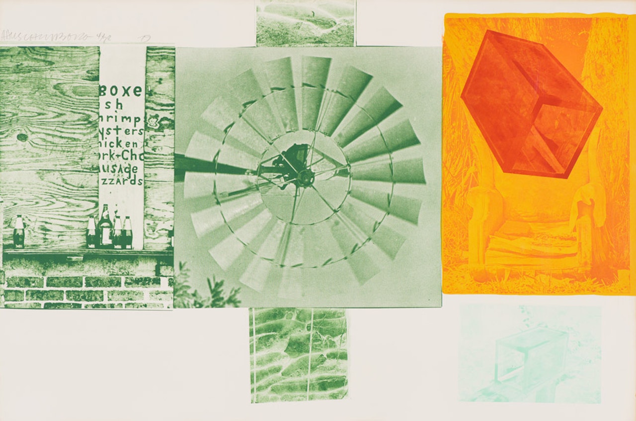 Glacial Decoy Series: Lithograph I by Robert Rauschenberg