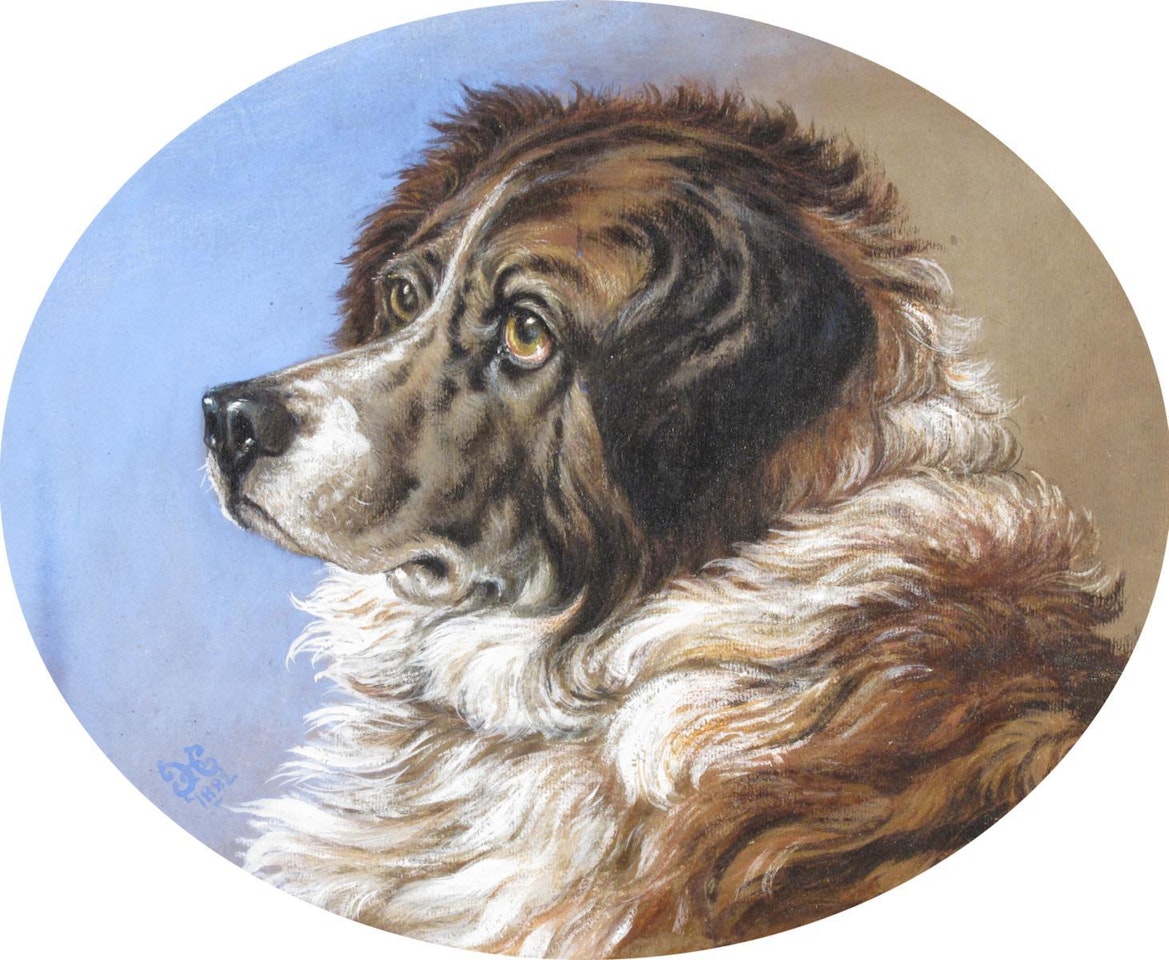 Study of a mountain dog by English School
