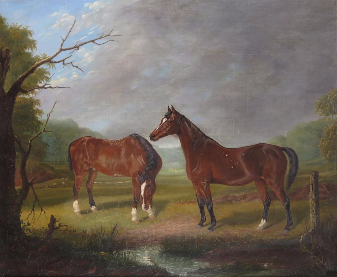 Two horses in a meadow by English School