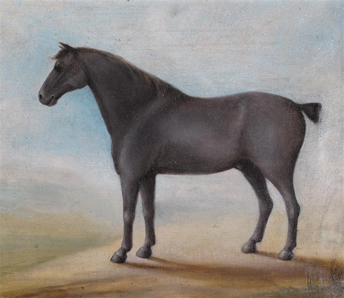 Study of a grey hunter by English School