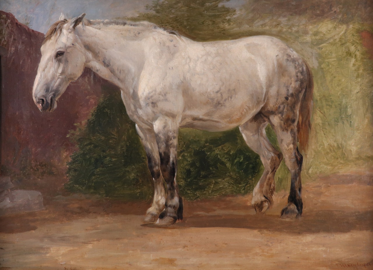 Study of a grey carthorse resting by Thomas Sidney Cooper