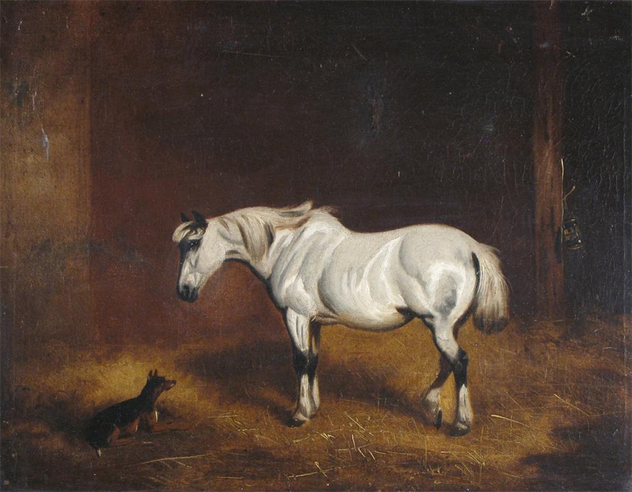 A white horse and a dog in a stable by English School
