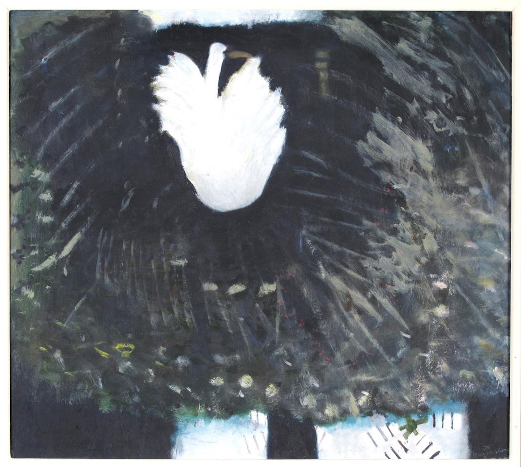 Swan on her nest May 76 by Mary Newcomb