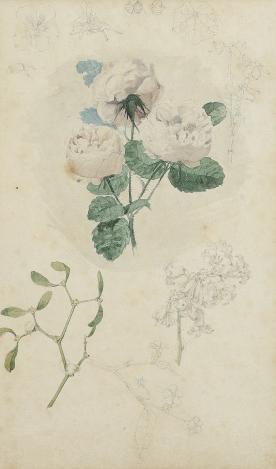 Studies of a rose and other flowers (recto); Cloud studies (verso); Portrait of a young girl seated, holding a fan; Portrait of a young girl leaning against a mantlepiece; two by English School