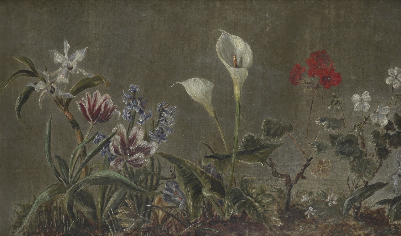 Floral still life with orchid, tulips, hyacinths, crocuses, peace lily and geraniums by Continental School