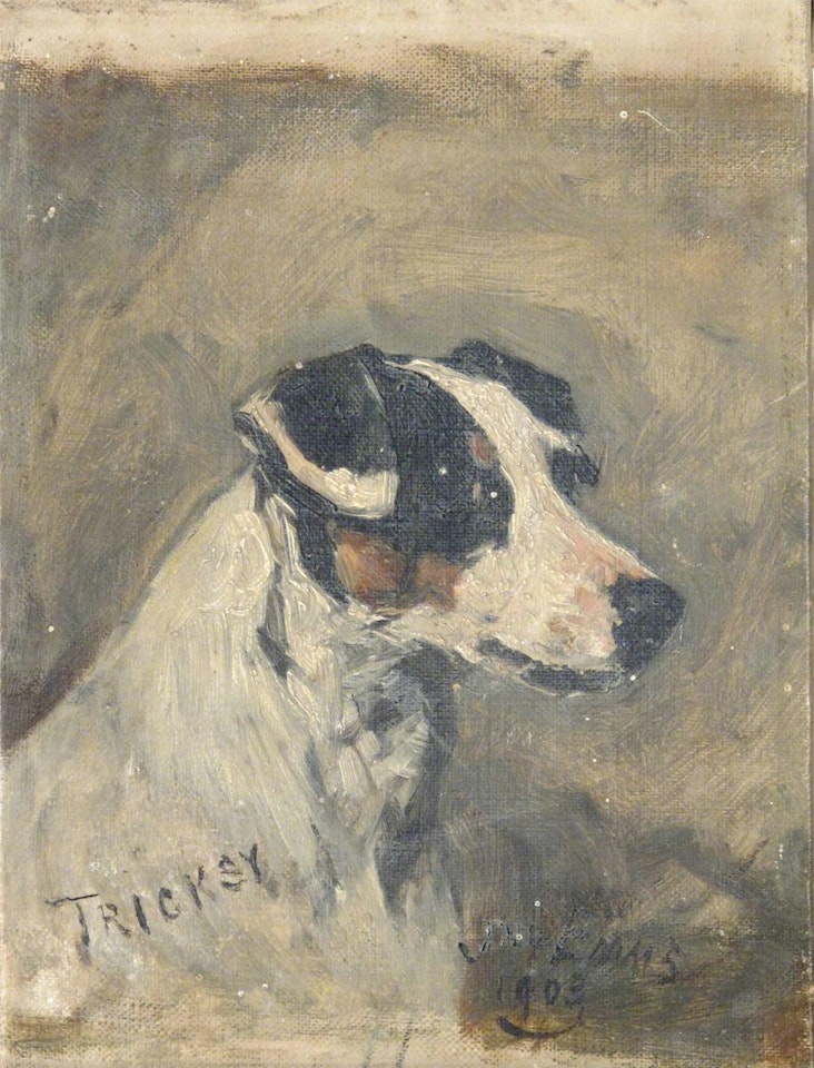 Studies of Tricksy by John Emms