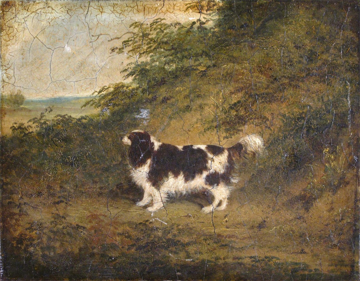 A spaniel in a landscape by English School